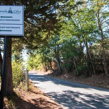 Olivi Affitta Vendégház Senigallia