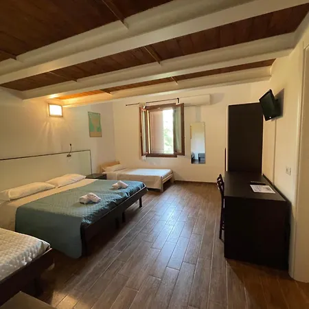 Olivi Affitta セニガッリア